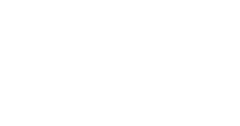 Partner Logo 17
