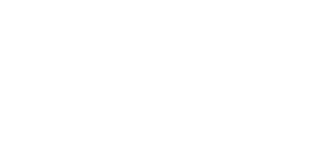 Partner Logo 19